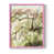 Rose est en rupture de stock