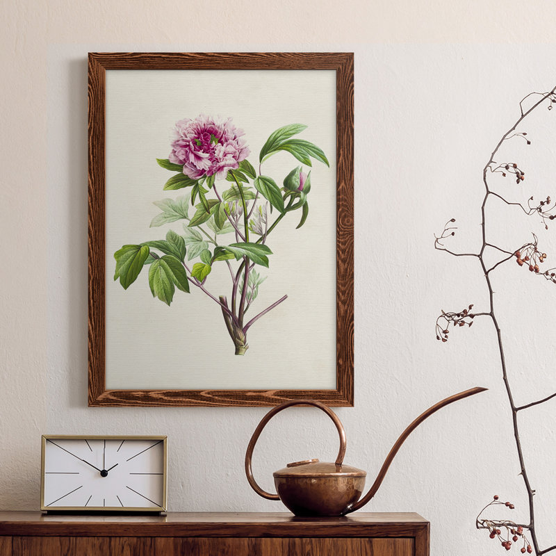 «Pretty Pink Botanicals V», reproduction sur toile encadrée, Érable encadré, H 23 po x l 32 po x P 1 po