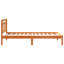 Solid Pine Wood-841994754-841994772