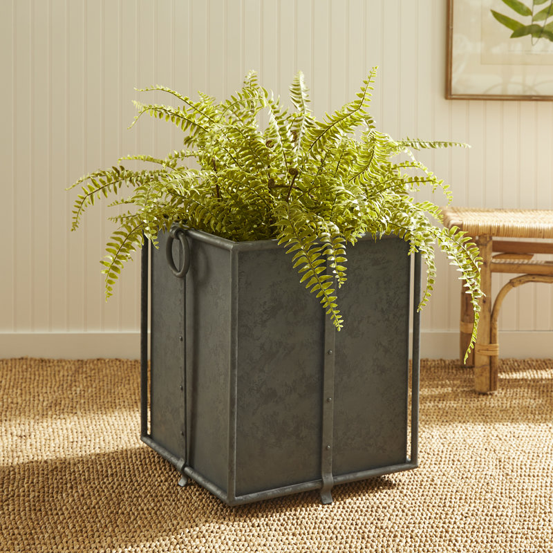 Callahan Planter, Black