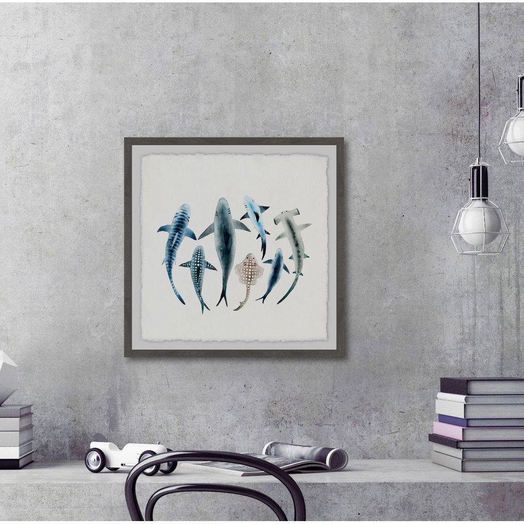 'Shark Types' Framed Print Dovecove 