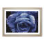 Blue Rose Painting - Picture Frame Graphic Art-56633690-56633691