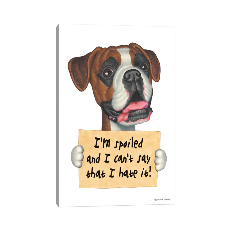 «Boxer I'm Spoilé» par Danny Gordon, impression sur toile tendue, H 12 po x l 8 po x P 0,75 po