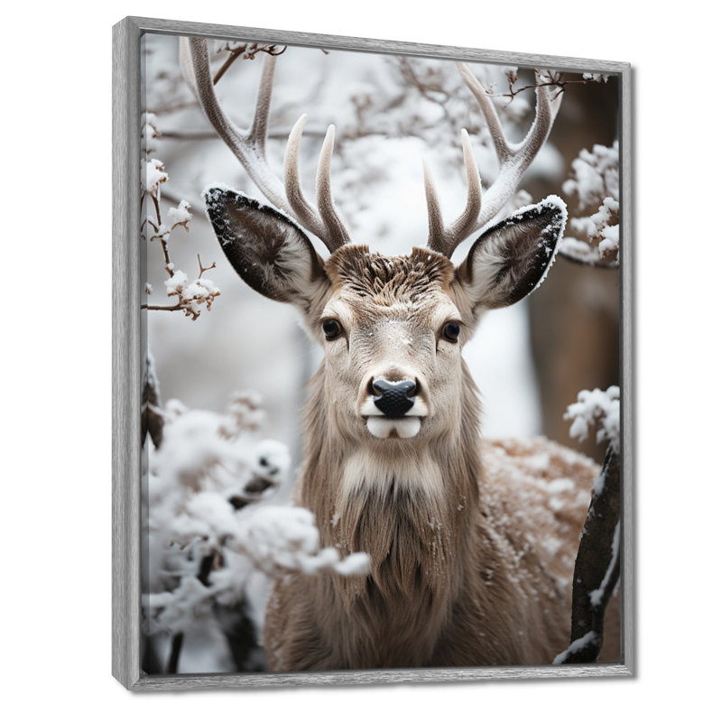 Baruc Animal Winter Deer - Deer, art mural encadré, 32" H x 24" W, Encadrement argenté
