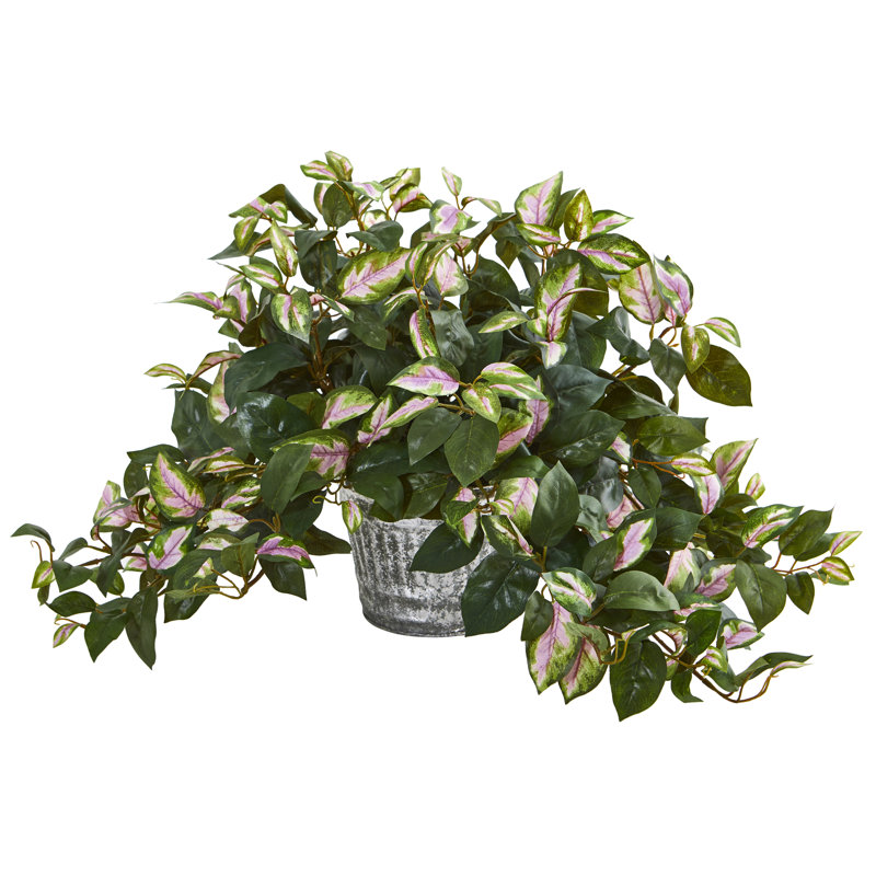 Plante hoya artificielle en pot de fleurs