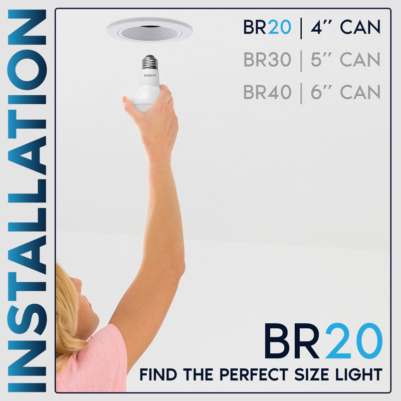 6.5 BR20 6500 Bulb