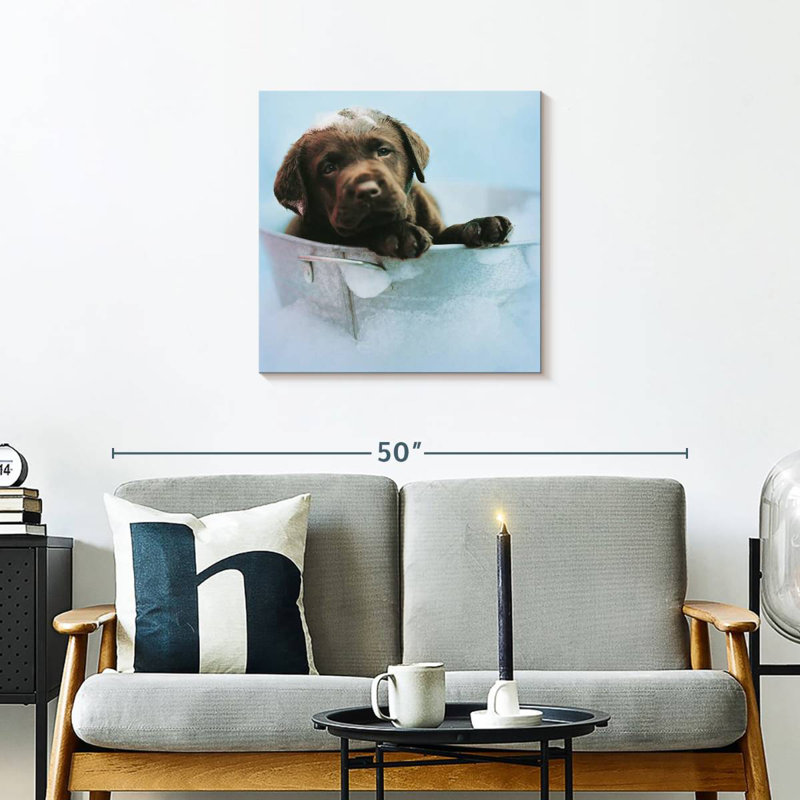 Brampt Beau The Dog, 24" H x 24" W