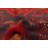 Rizbaft Red Rug 3'6" x 6'4"