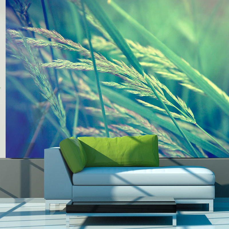 Cereal Field 3.09m x 400cm Wallpaper, 200 cm x 154 cm