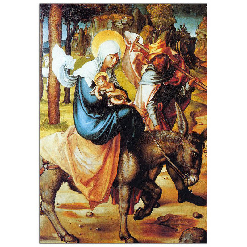 Albrecht Dürer - Wrapped Canvas Painting