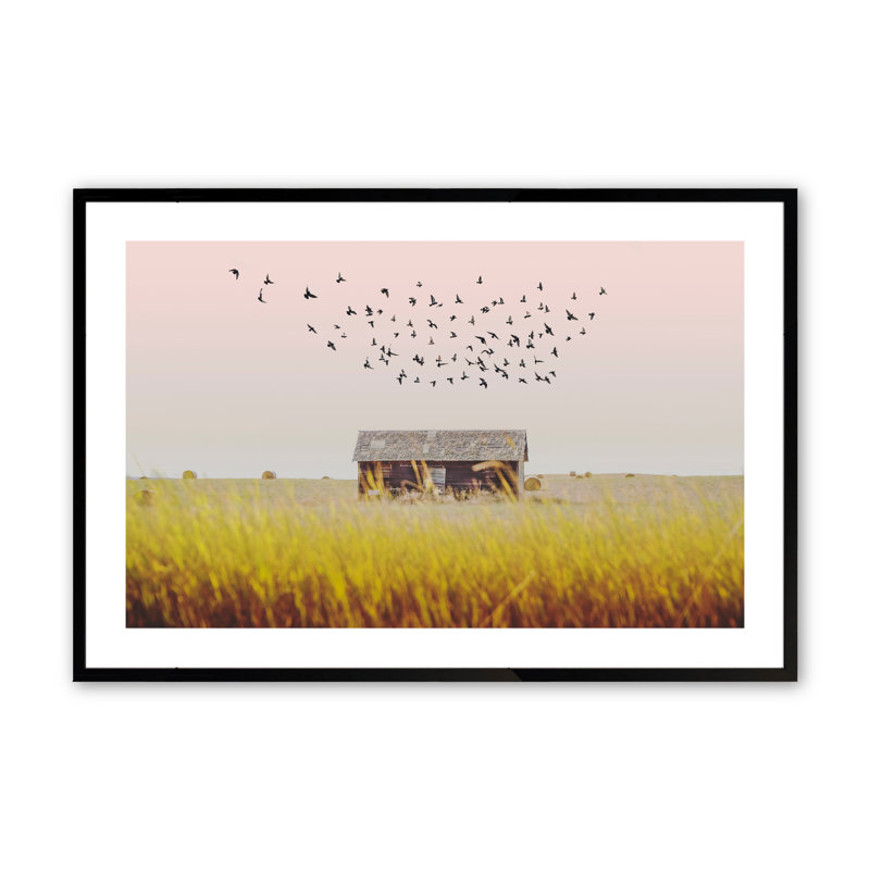 Aarez Harvest Season par Annie Bailey Art, Noir satiné, H 11 po x l 14 po x P 1,25 po