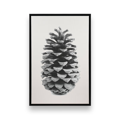 Portrait of a Pinecone kmc1001