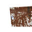 Area Rug-1792159697
