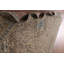 Tapis traditionnel 6 x 9