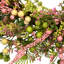 Berries And Olives Artificial Spring Wreath - 25" - Pastel