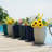 Flowerpot-1571097187