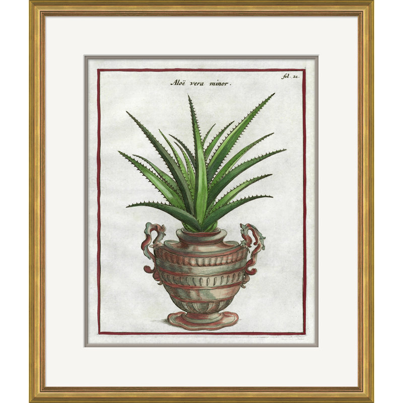 «Century Century Florilegium» - Peinture encadrée sur papier