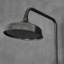 Leedy Mixer Shower with Dual Shower Head