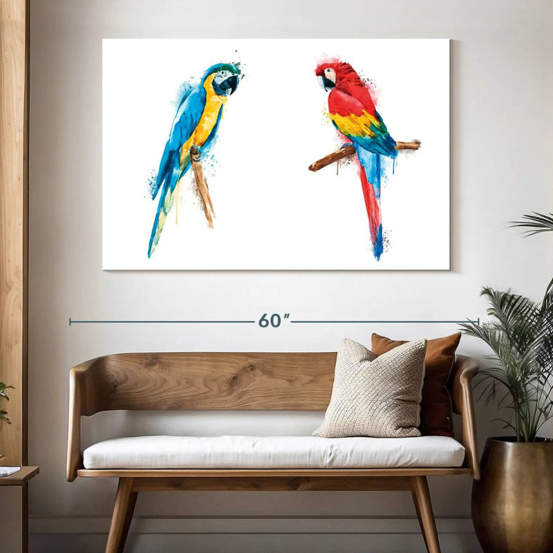 Crowle Macaw Duo Color Splash