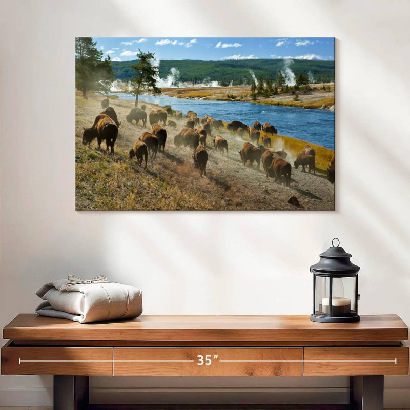 Troupeau de bisons Brampt, H 16 po x l 24 po