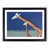 Black Framed selected