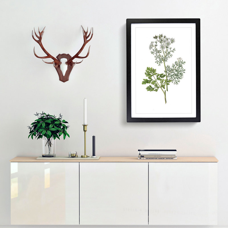 Coriander Flowers Illustration - Picture Frame Painting Print, 65cm H x 48cm W x 2cm D, Black Framed
