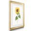 Tournesol II - imprimé-440758249-440758245