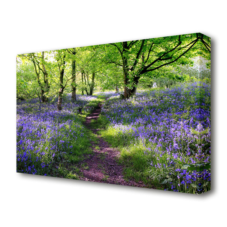 Path Through The Bluebells Forest - Wrapped Canvas Art Prints