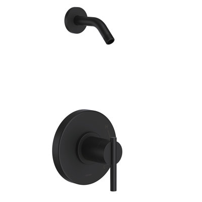 Parma Shower Faucet