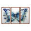 Papillon, aquarelle, ailes I - ensemble de salon avec art animalier papillon-1985218827-1989497183