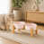 Blanc / Rose est en rupture de stock