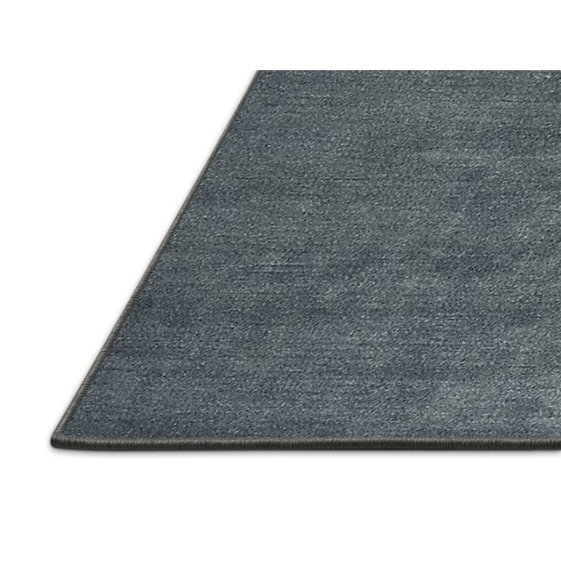 Indoor Rug, Rectangle 2' x 4'