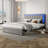 Upholstered Platform Bed-460704934