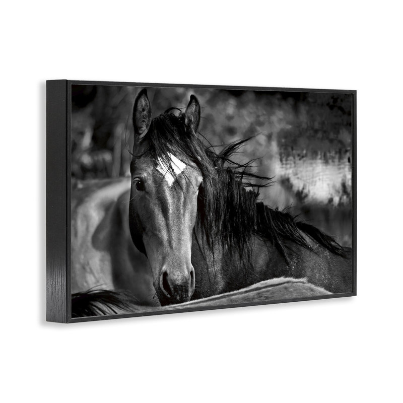 Giclée encadrée d'un cheval de présence, conception par Wendy Caro, H 12 po x l 18 po, Giclée encadrée noir minuit