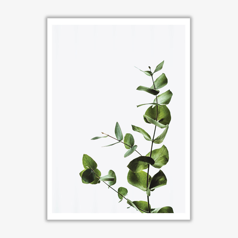 Elegant Plant - Print, 42 cm H x 30 cm W x 1 cm D, No Frame