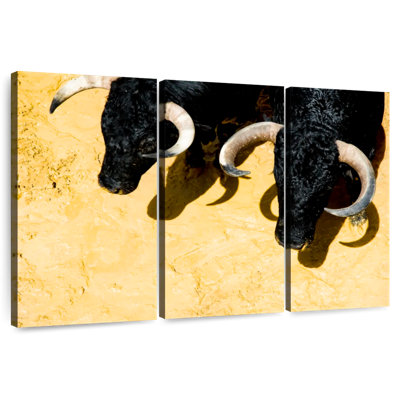 Fighting Bulls