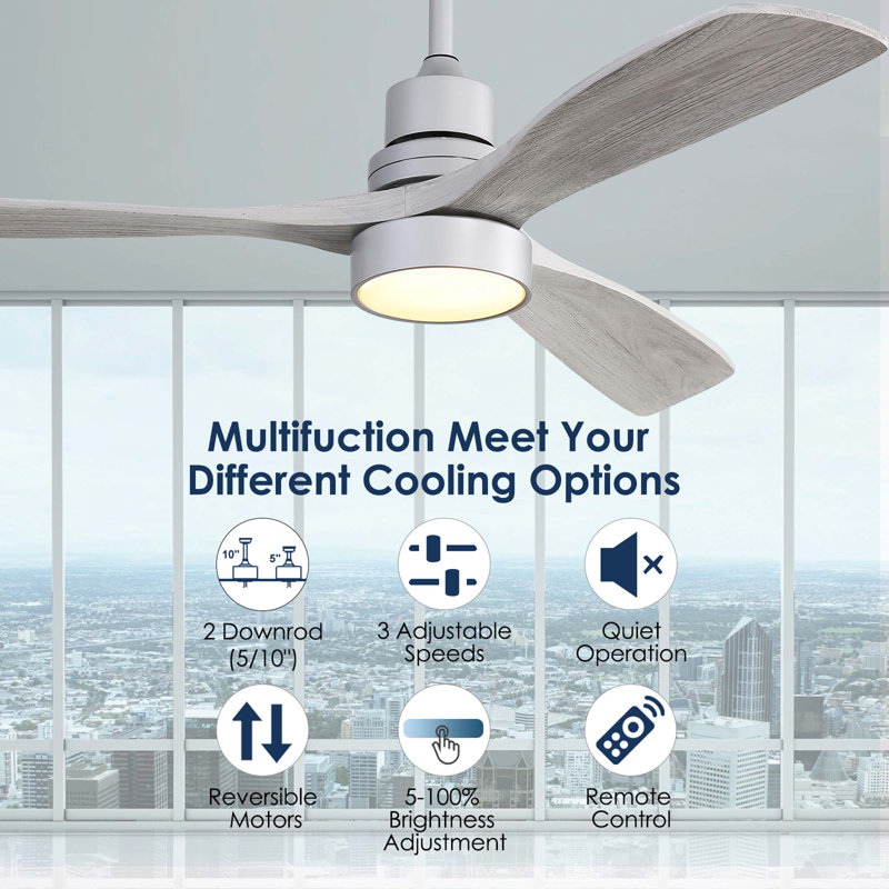 52'' Ceiling Fan with LED Lights