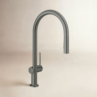 Hansgrohe Talis N Higharc Pull-Down Faucet