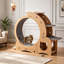Roue d'exercice pour chat de 70 cm (27,5 pouces) pour chats d'intérieur, tapis roulant silencieux avec gamelles, perchoirs à plusieurs niveaux et grotte pour chat, idéal pour la perte de poids et l'activité quotidienne.