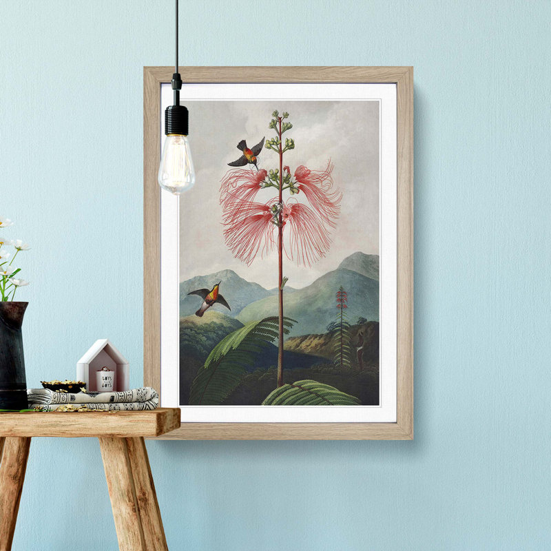 Flowering Plant and Birds by R.J. Thornton - Framed Print, 65cm H x 48cm W x 2cm D, Oak Framed