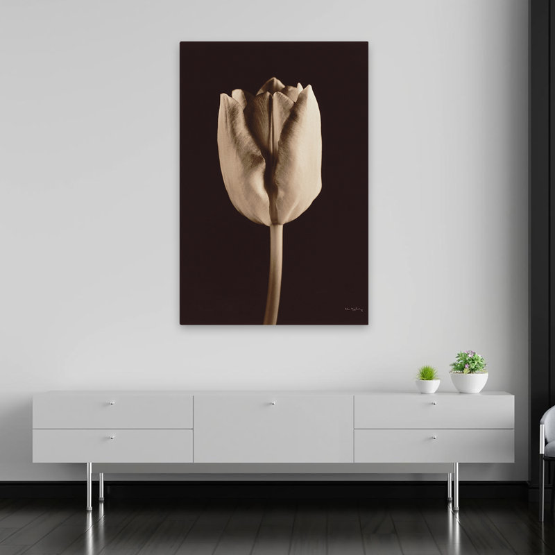 Modern And Contemporary Tulip, 60" H x 40" W