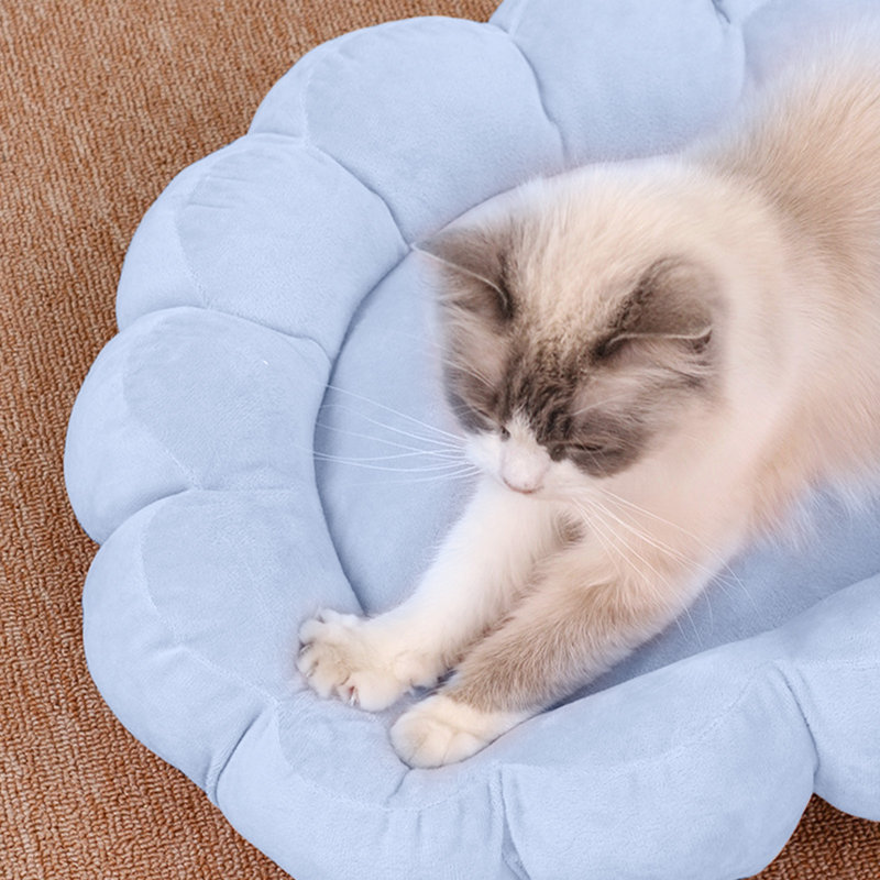 Matelas pour chien pour chien 19,7 x 19,7 po, Bleu