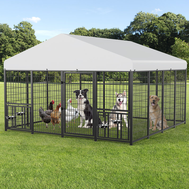 Chenil en métal avec 4 coups, H 78 po x l 118 po x P 117 po