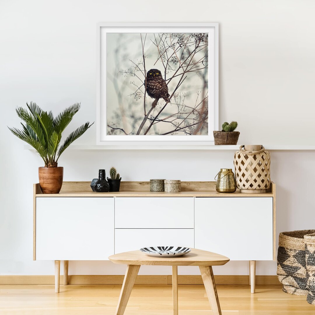 Gerahmtes Poster Owl in Winter