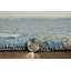 Tapis bleu marine fait à la main Trainor-1791674057