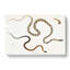 Illustrations Of Snakes by John Edward Gray - Wrapped Canvas-55362662