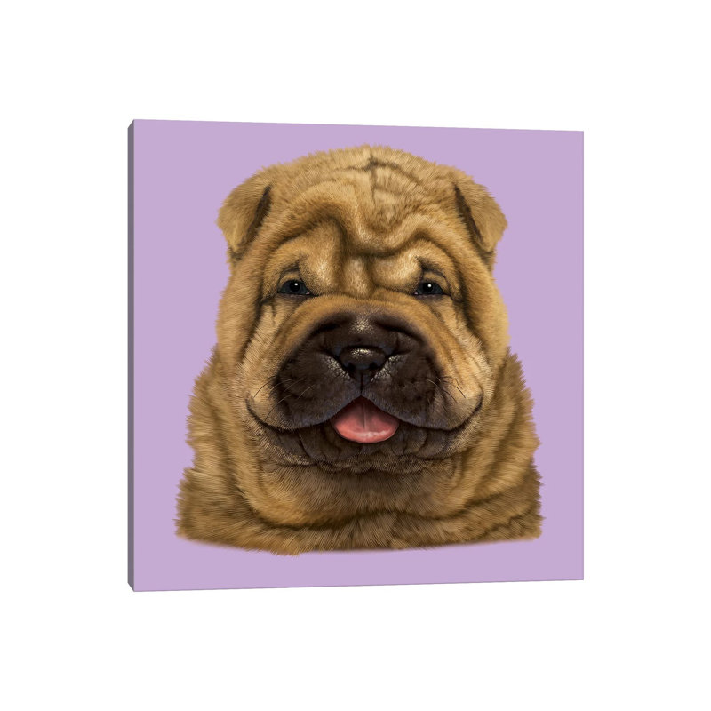 Shar Pei Puppy 1 Piece Wrapped Canvas Wall Art, 30.48 cm H x 30.48 cm W