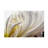 David Rothstein  Dahlia 5 Canvas Art-1994071448