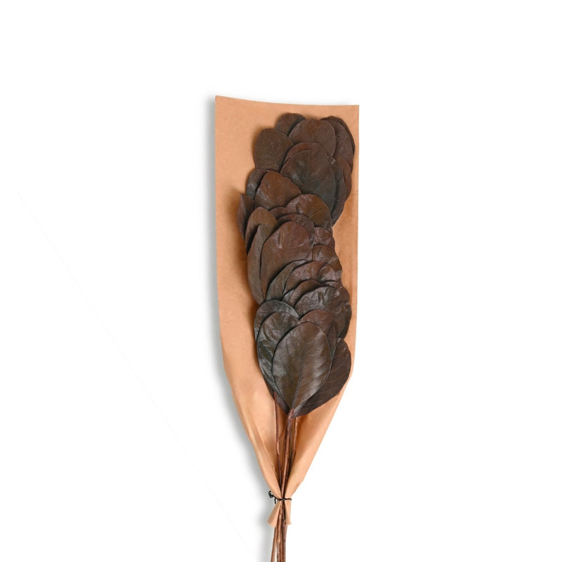 Katal Leaves 6Pc Paper Poly