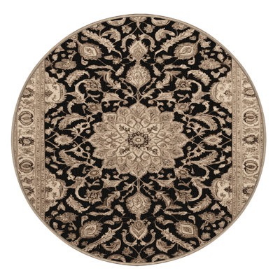 Machine Washable Persian Brown Area Rug